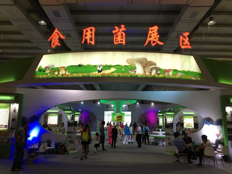 凯发一触即发
