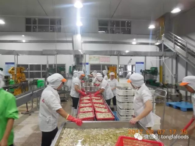凯发一触即发