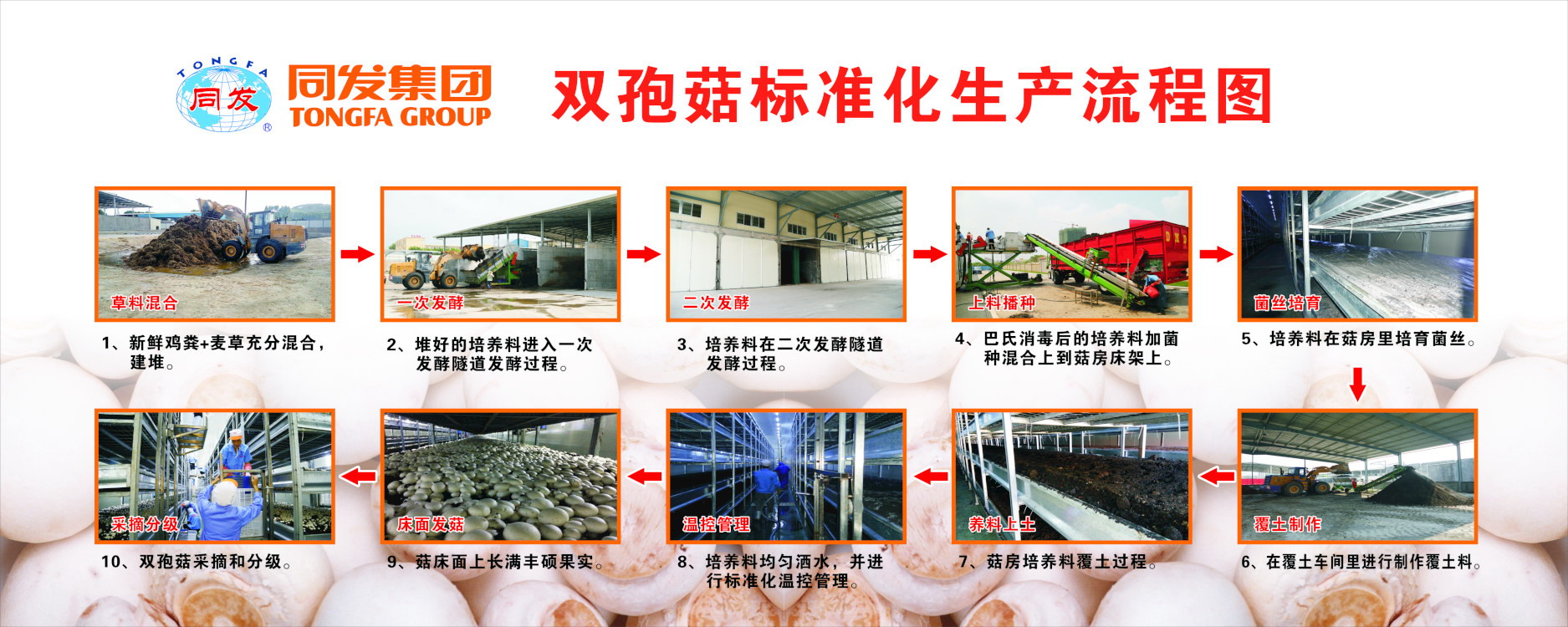 凯发一触即发
