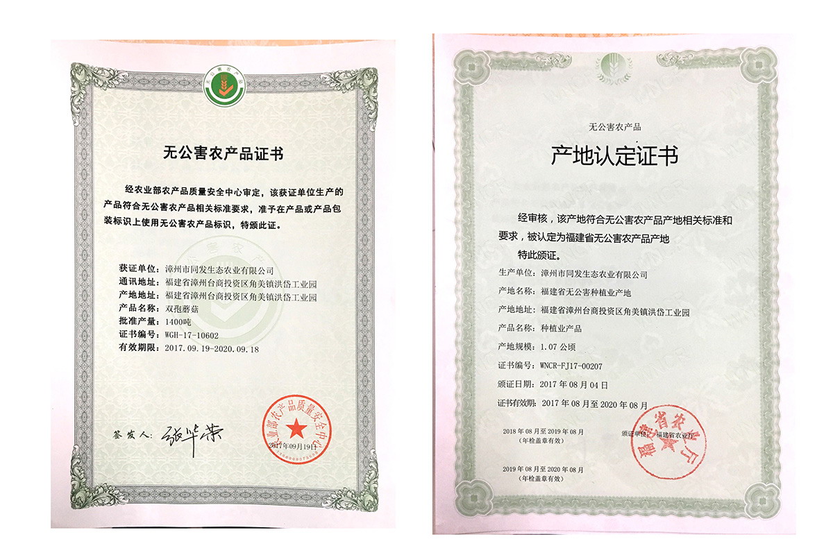 凯发一触即发