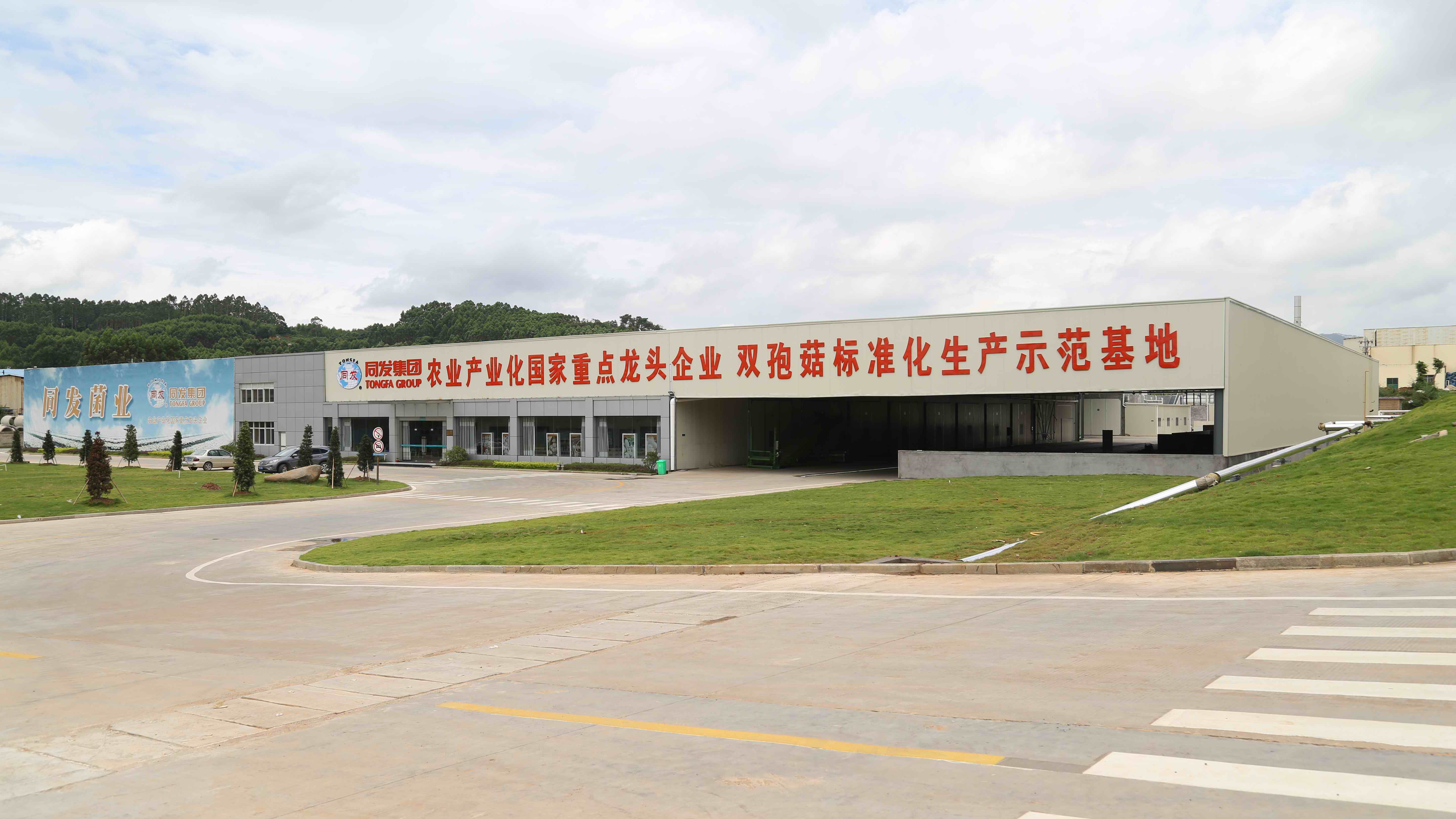 凯发一触即发