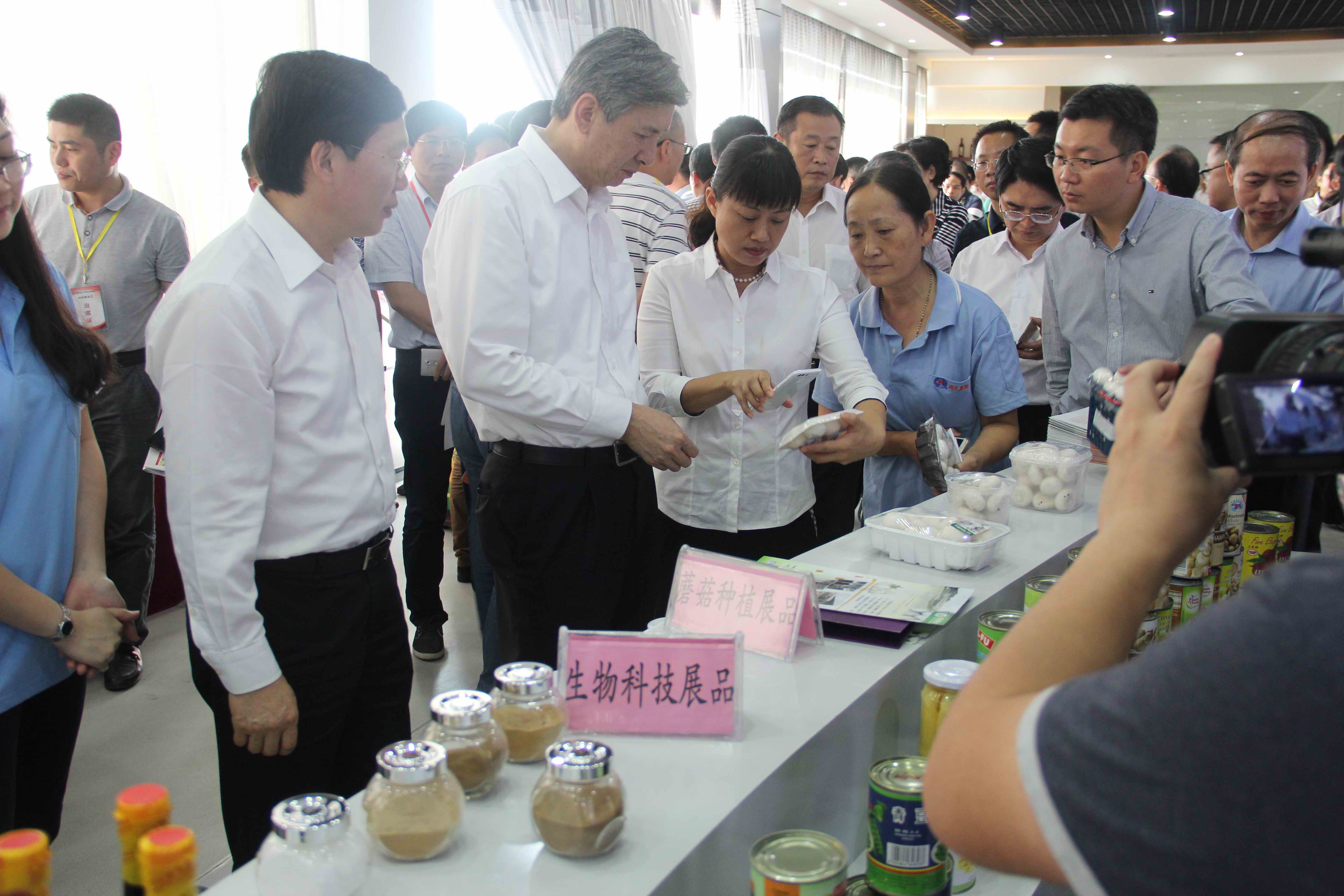 凯发一触即发(中国)官方网站
